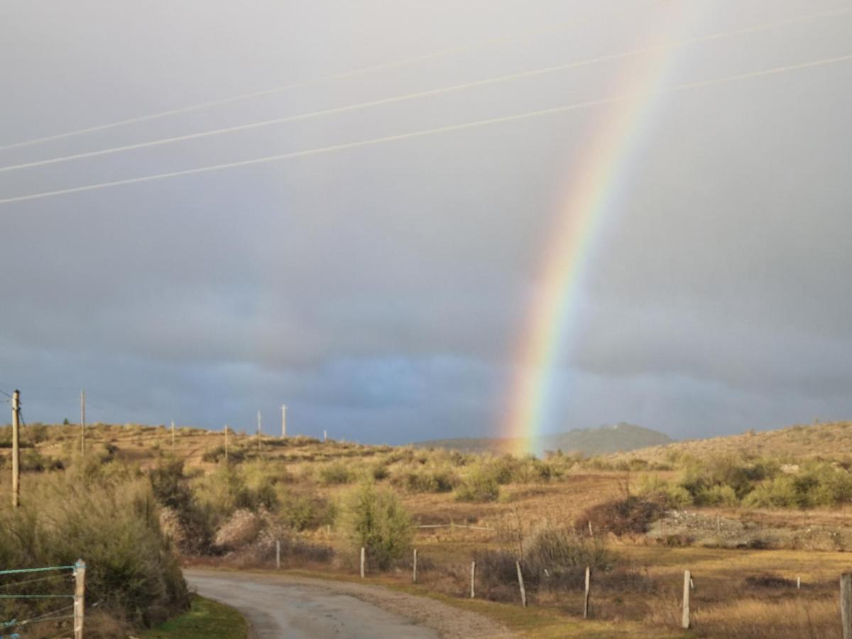 Gite De Navacelles Blandas Exteriör bild