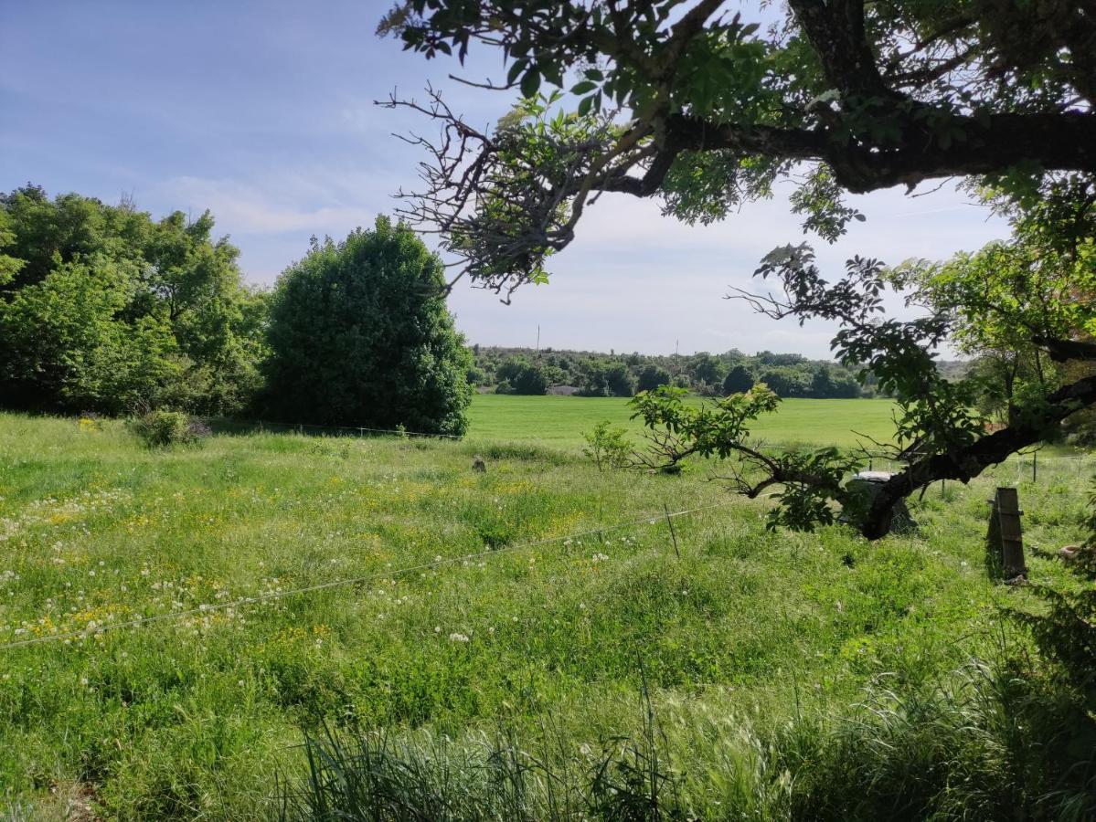 Gite De Navacelles Blandas Exteriör bild